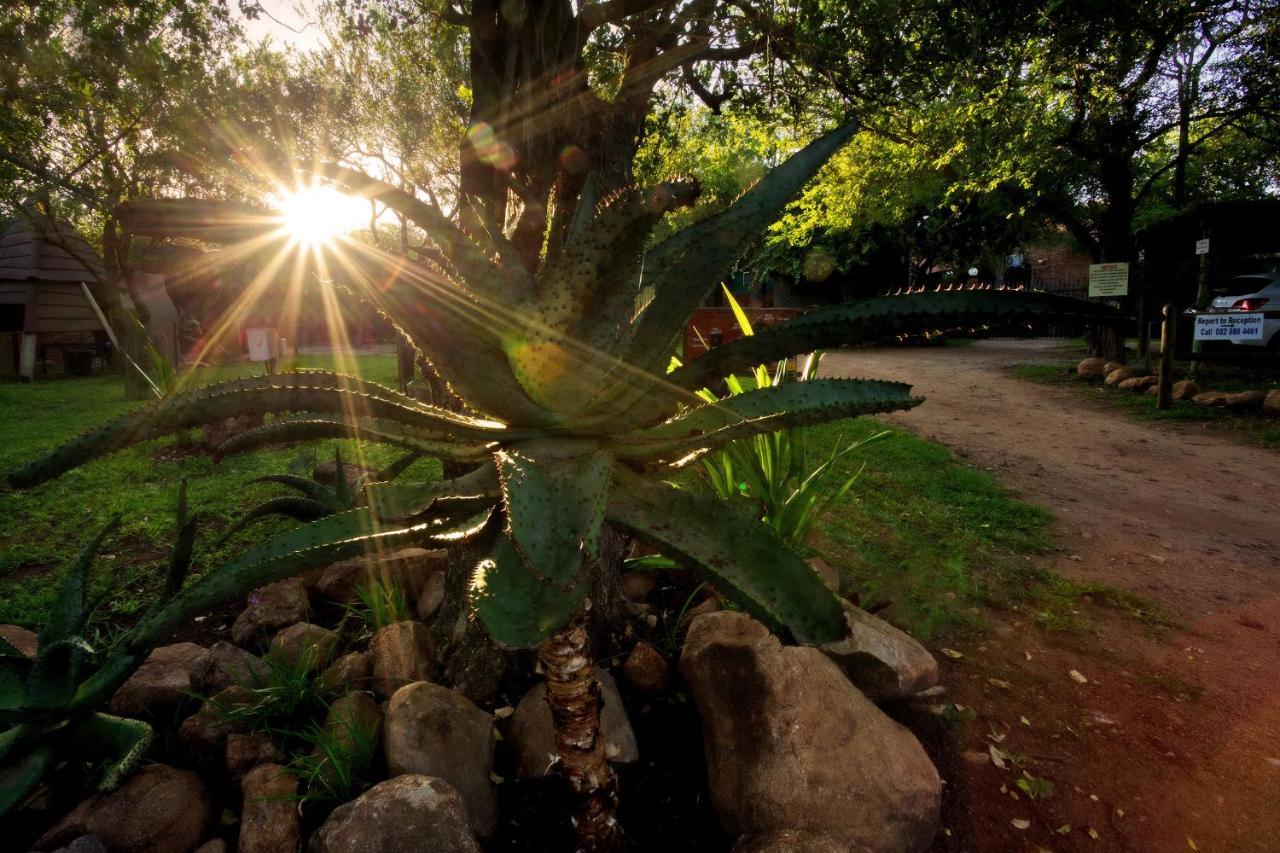 Doringpoort Lodge Kruger National Park Luaran gambar