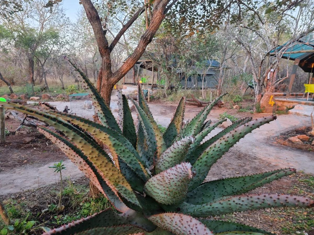 Doringpoort Lodge Kruger National Park Luaran gambar