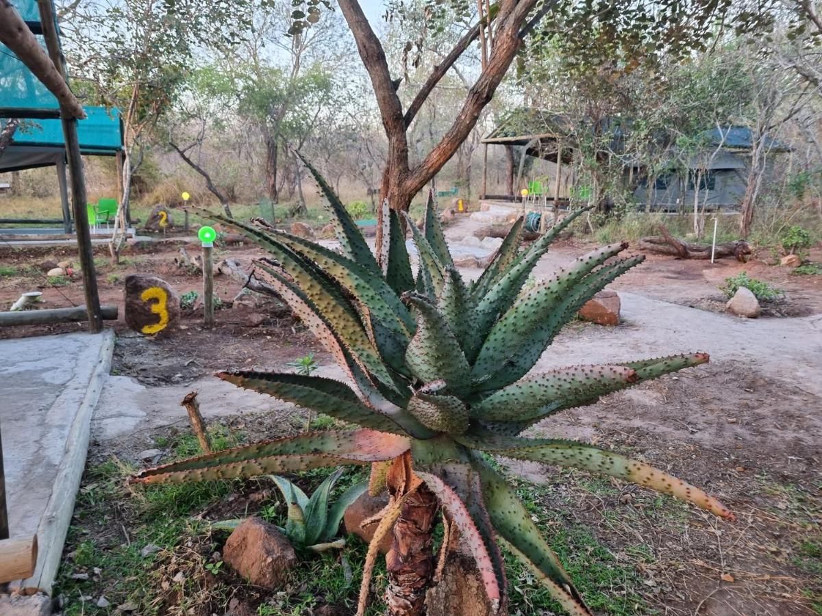 Doringpoort Lodge Kruger National Park Luaran gambar