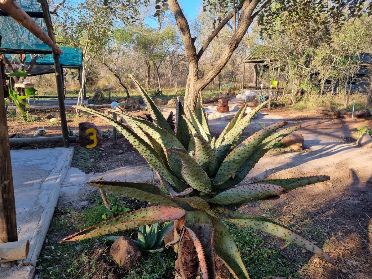 Doringpoort Lodge Kruger National Park Luaran gambar